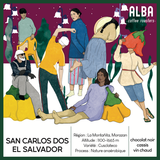 ALBA - San Carlos Dos - Salvador