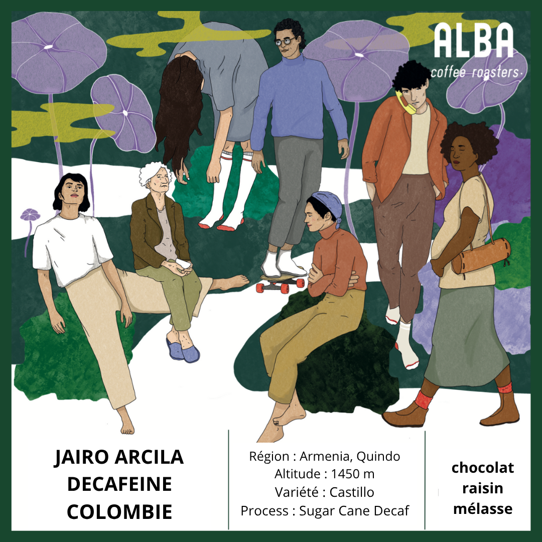 Mexico - Finca Santa Fe Decaffeinated