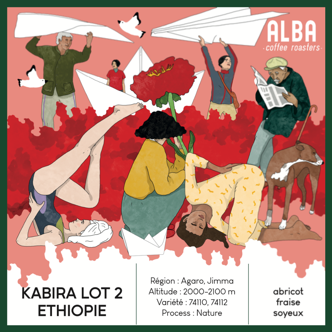 Ethiopia - Kabira Lot 1